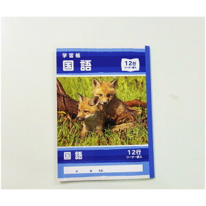 y112524H聚Gg[őSiP10{IzTtCWp@wK@@12s@500-2432@500-2432