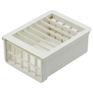 y11/20()24h聚I2l1lőSz|CgobNvGg[zXP[^[ Skater Jb^[@x[VbN TFC1