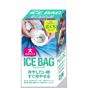 yő2,000~ItCOUPON 111-6959܂Łz̔ ACXobN 傫 X M ACX}N ACVO X|[c CtGU