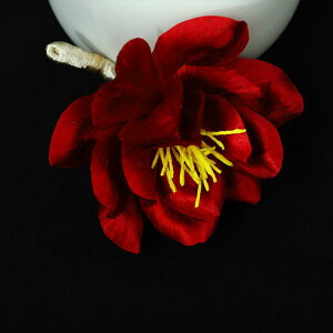 wAANZT[ fB[X  VN  񂴂  RT[W a U    p[eB[ Ă΂ Õ bh 