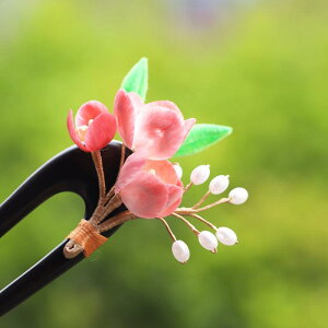 wAANZT[ fB[X   ԕ a sNn Ebh  ܂Ƃߔ