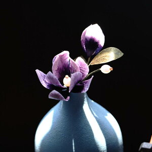 �w�A�A�N�Z�T���[ ���f�B�[�X �Õ� �� ���񂴂� �V���N �[���F ���N�Q �� �a�� ������ �`���C�i�h���X �R�X�v��