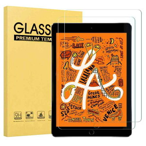 iPad mini5 2020 mini4 �K���X�t�B���� ipad mini5/4 �t�B����