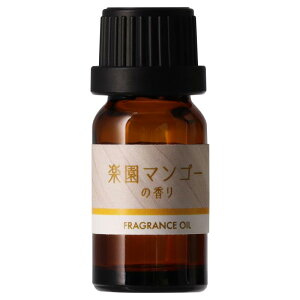 J[Cg(Carmate) tOXIC y}S[ ԗp p u^ F Œ20 uO  tOX fBt[U[ p lߑւ IC G߂