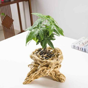 Aؔ  v^[ ? A Ԋ ƒ؉ | fXN  x[W