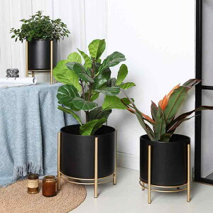 ԕr ACA Aؔ A ϗtA A 񂹐A |    O x_ K[fjO ubN