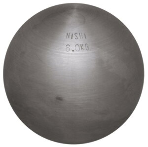 NISI(jVEX|[c) ㋣Z Cۓ C 6.0kg Kp G1152