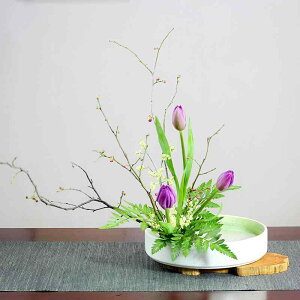 ԕr   T R  Ԋ ㎮ ItBX ze VbsO[ x_؉ Ŗ΁iS}̂悤ȗΐFj ?i}bgȍƒFj