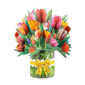 ̃o[Xf[J[hA3D|bvAbvJ[hAaJ[h ̃NX}XJ[h ̓A̒aJ[hA̓AӍՁAjJ[h a J[h happy birthday card