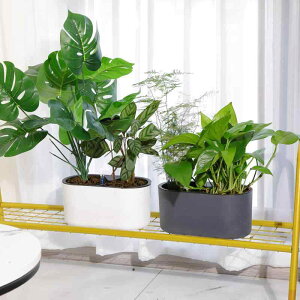  ϗtA A vX`bN Aؔ  x_ K[fjO ƒ؉ ItBX ze VbsO[ Vv zCg ubN