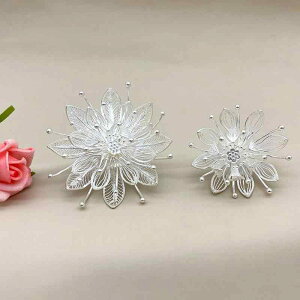 wAANZT[ fB[X  񂴂 Vo[ @̉ GXjbN `Ci wAs ÓTI a  ␻ ԕ 