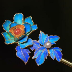 wAANZT[ g fB[X 񂴂 fUC ? p[   dCbLH ?  C