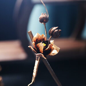 wAANZT[ fB[X  񂴂  䉖 VNN ԕ t[ a h }WF_ uE Õ `CihX a RXv p[eB[