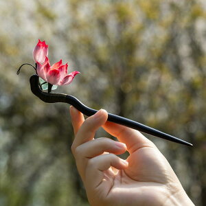 wAANZT[ fB[X Õ  sNn ׉ 񂴂 `CihX a    