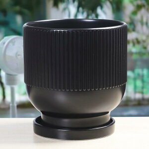 Aؔ k  ƒ뉀| ϗtA A Ք痖 S̖ ~ TCY  rO x_