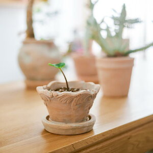 ԕr fB[X  Aؔ v^[ y  ~  | K[fjO ʋC hbv^ [bp tbN   󂯎M gC