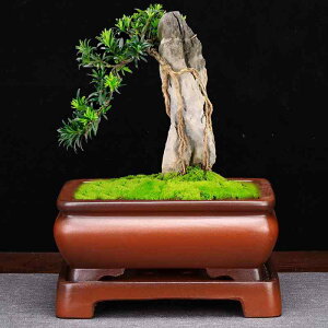 ԕr  ` Aؔ ~j~ ~͔ ~  ~͗pi ~͎pi |  ~ 픫 A A T{e ϗtA   ʋ ʋC ϕH    I