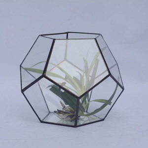 ԕr KX Ԗ[ ~ Aؔ [sA X^C   CeA ubN Vo[ bh 10cm 15cm 20cm