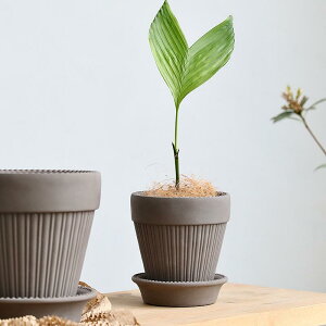 ԕr kfUC Zg Aؔ 픫  [?F ubN ItBX rO[ ϗtA