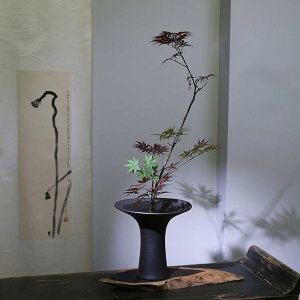 ԕr 퐻Ԋ KX F a T ptp   ؓ t[x[X