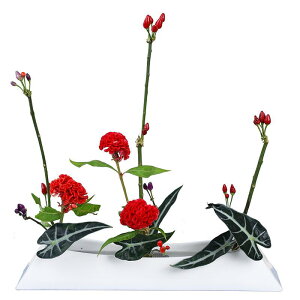 ԕr  D^ `  Ԋ R ؓ t[AWg ItBX ze ƒ | F F [F