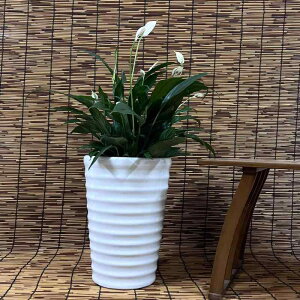 ԕr Aؔ 퐻 ~` 卆 K[fjO ƒp ItBX ϗtA |bg k Vv zCg