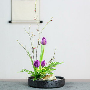 ԕr   R Ԋ M T a    IuWF CeA