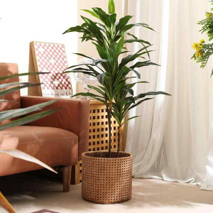 ԕr |҂ }OlVA _}OlVE  v^[ ^ Aؔ ϗtA | K[fjO  k g AeB[N 卆 ?ÐF