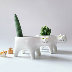 ԕr  L L ΔL ~  R _t A T{e 񂹐A 킢  ϗtA ? A[g