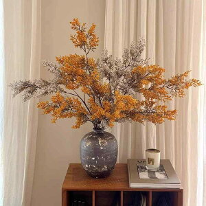 ԕr   t[x[X  a  CeA G   ~j ֑} hCt[  􉽊w͗l AtJ [bp  AWA