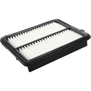 ANAh[ ԗpGAtB^[ PLATINUM z_p [ 17220-R9H-003 ] AD-ACE-28 A DREAM