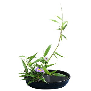 ԕr Ԋ  u[ t[x[X  ~  ؓ ԏ