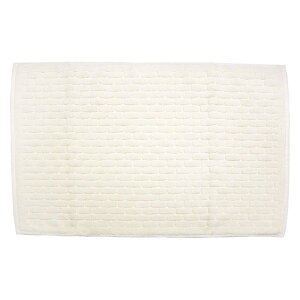 Ag+(CI)^InoX}bg u[N 40cm×60cm(R hL  􂦂)