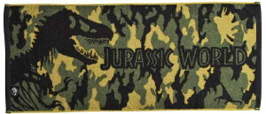  tFCX^I WVbN[h 34×80cm 100%