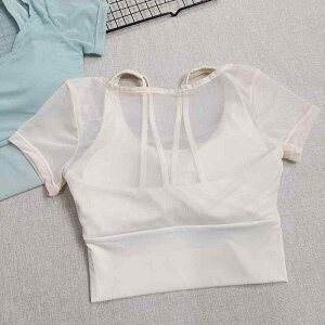 KEFA fB[X gbvX Jbvt ugbv v[eBX g[jO EFA |GXe V[gX[u X|[cEFA tBbglX Cg R[q[ u[ p[v A