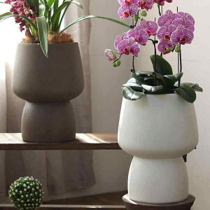 ԕr k r Aؔ Jo[ ϗtA u^  ƒp K[fjO | 嗝Ζ͗l GKg