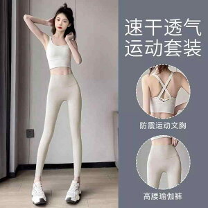 KEFA fB[X ZbgAbv v[eBX g[jOEFA ڐG⊴ X|[cEFA m[X[u gbvX pc |@ GNTTCY tBbglX W