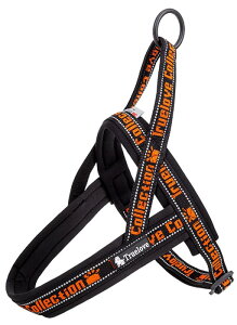 AɗDn[lX 2022ŐV TRUE LOVE{X pn[lX p hbO ybgpi 3Mˍޗ P o lIvf ^A^A^Ɍ ʋC ߉\