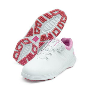 StV[Y fB[X p ʋC y NbV _C CR ŒXpCN EVA\[ v [Jbg EhgD Stp Kp R[Xp O AEghA JW