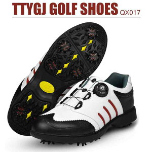 StV[Y Y jp \tgXpCN h _C ʋC }CNt@Co[U[  X|[c W[p