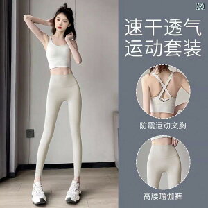 tBbglXEFA fB[X ㉺Zbg K seBX W g[jO X|[cEFA Xgb`  CN Đ@ۑf