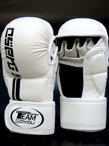 {NVOO[u Y jp I[vtBK[ wO[u g[jO K vdl Zp MMA  iZ LbN{NVO G^C U ThobO ~bgł Xp[