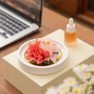  u O  蕨    CeA rO ItBX TChe[u ԓ A}fBt[U[  sN  