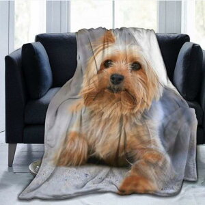 ѕz fB[X H~ tl \t@Jo[ uPbg |GXe y ۉ 唻 Ђ| 킢  Q rO xbh Ԓ Lv