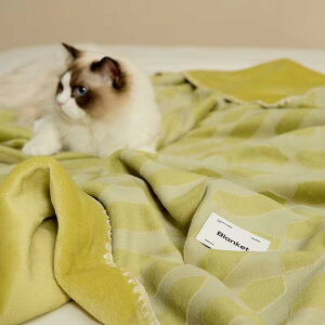 ѕz k fB[X Ђ| uPbg ԕ rѕ H~ ItBX Q Q 150x200cm 200x230cm F u[   O[