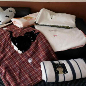 ѕz uPbg H~ L hJ 킢 ct Q \t@ Q |GXe 120cm 150cm