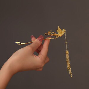 wAANZT[ fB[X 񂴂 S[h tFjbNX GXjbN  g wAs   p[eB[