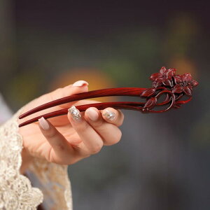 wAANZT[ S U 񂴂 a  p[v   ؐ T_Ebh Õ  h y_g 