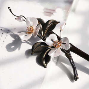 wAANZT[ fB[X Õ wAs u[` 񂴂 ؐ  `CihX a Mtg v[g