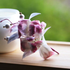 wAANZT[ fB[X  񂴂 VN 􉽊w͗l g `CihX a  i